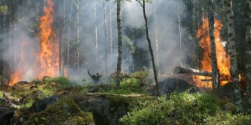 Understanding Global Warming: Causes