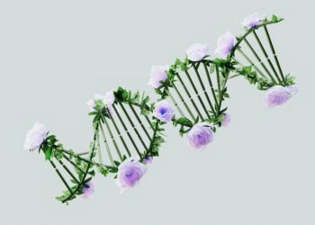 Revolutionizing Renewable Energy: Top Green Tech Startups