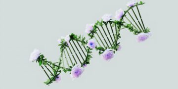 Revolutionizing Renewable Energy: Top Green Tech Startups