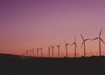 Exploring Sustainable Power: The Essentials of Renewable Energy for Students