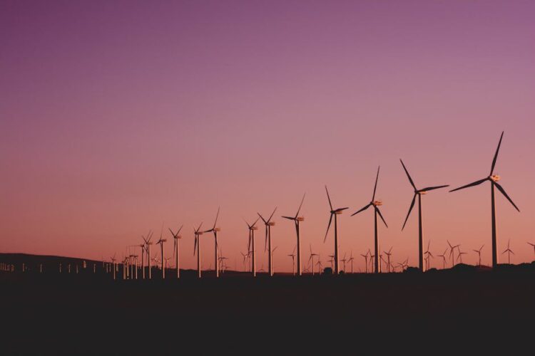 Exploring Sustainable Power: The Essentials of Renewable Energy for Students