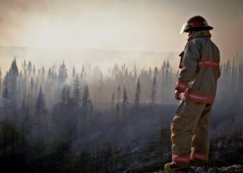 The Hidden Costs of Bottled Water