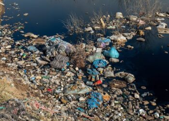 Devastating Waves: The Environmental Impact of Water Pollution on Public Health