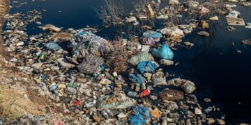 Devastating Waves: The Environmental Impact of Water Pollution on Public Health