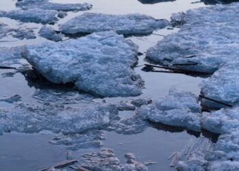 Adapting to Change: Climate Policy's Effect on Local Community Sustainability