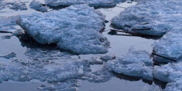 Adapting to Change: Climate Policy's Effect on Local Community Sustainability