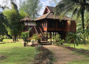 Green Living Made Simple: Eco-Friendly Tips for Beginners