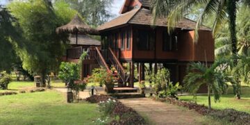 Green Living Made Simple: Eco-Friendly Tips for Beginners