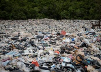 Exploring the Environmental Trade-offs: Bioplastics Versus Traditional Plastics