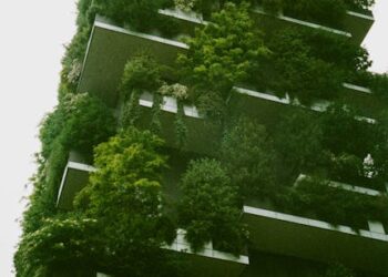 Green Together: Sustainable Living Habits for Families