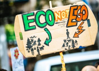 Exploring Low-Cost Solutions for Environmental Sustainability