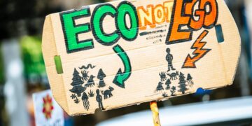 Exploring Low-Cost Solutions for Environmental Sustainability