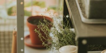 Green Living Essentials: Eco-Friendly Cleaning Solutions for a Sustainable Home