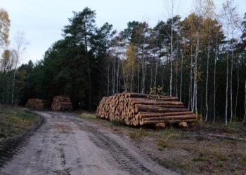 Smartphone Production and Planet Peril: Unveiling the Environmental Costs