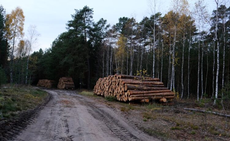 Smartphone Production and Planet Peril: Unveiling the Environmental Costs