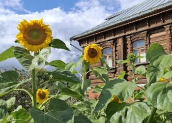 Eco-Friendly and Economical: Mastering Sustainable Living on a Budget