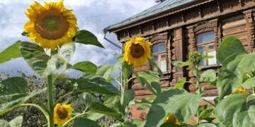 Eco-Friendly and Economical: Mastering Sustainable Living on a Budget