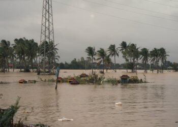 Assessing Emissions: Electric Cars vs Petrol Cars