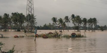 Assessing Emissions: Electric Cars vs Petrol Cars