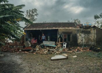 The Hidden Costs of Home Food Waste: A Deep Dive into Environmental Consequences