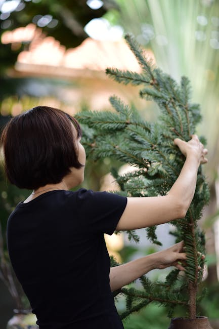 Maximizing Minimal Spaces: Sustainable Living Tips for Small Apartments