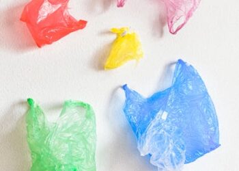 Environmental Hazards Unveiled: How Air Pollution Disrupts Childhood Development