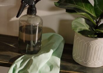 Eco-Friendly Home Innovations for 2025