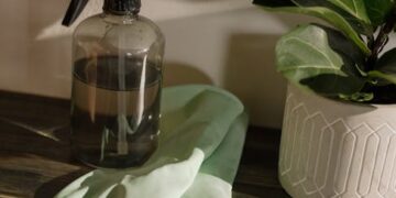 Eco-Friendly Home Innovations for 2025