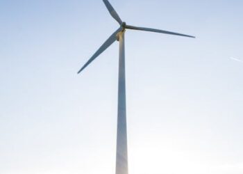 Turn the Wind into Watts: DIY Wind Energy Projects