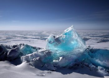 Affordable Strategies for Combatting Climate Change