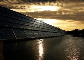 Harnessing the Sun: Solar Energy Insights