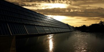 Harnessing the Sun: Solar Energy Insights