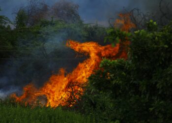 Rising Temperatures: Understanding the Impact and Taking Action