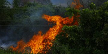 Rising Temperatures: Understanding the Impact and Taking Action